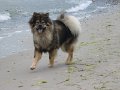 filou (17)
